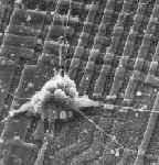 microscope image of a single neuron